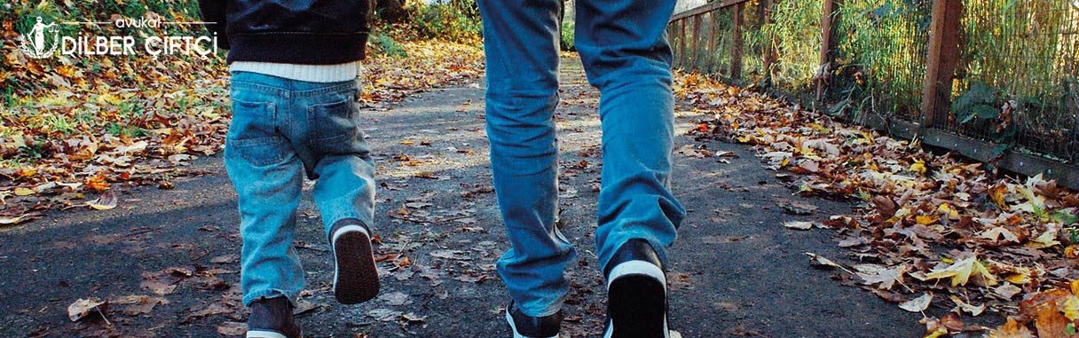 Soybağının Reddi Davası Şartları, Tarafları ve Süresi